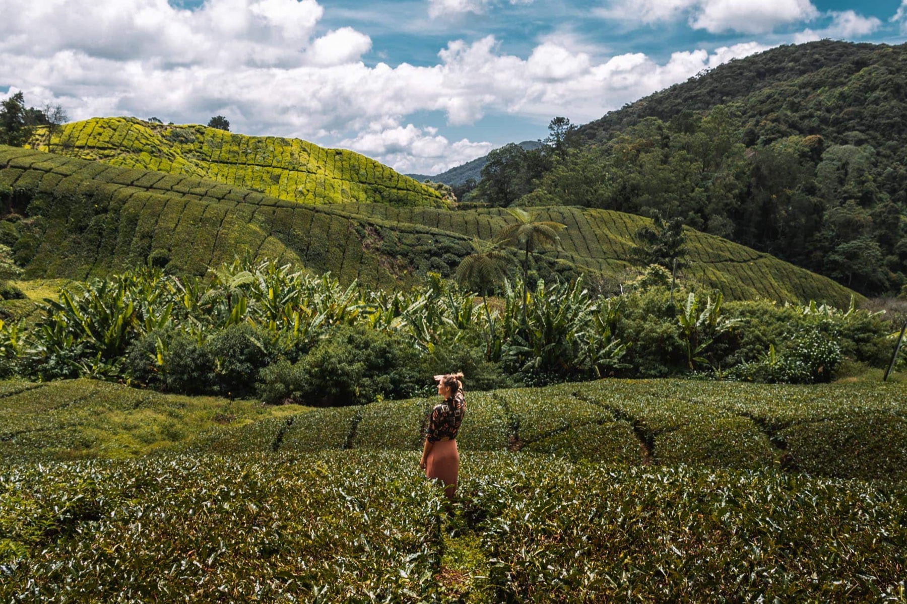 Malaisie & Singapour — circuit premium — 3